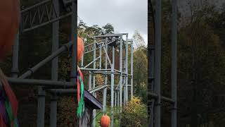 What a dive loop #gerstlauer #eurofighter #inversion #verticaldrop