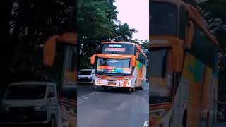 Story Wa Bus Tividi Aulia Reborn Full Strobo"