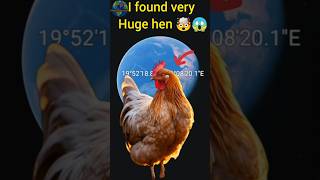 I Found Amazing  very huge hen🤯😱On Google Earth #shorts #google #googleearth #googlemaps #viral