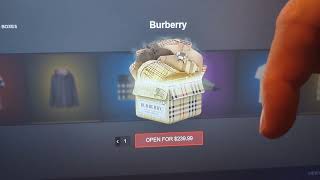 240 Dollar Mystery Box Opening!