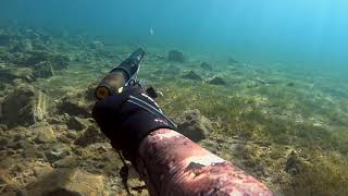 SpearFishing Fails # Αποτυχίες Στο Ψάρεμα