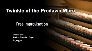 Twinkle of the Predawn Morn | ORGAN Free Improvisation