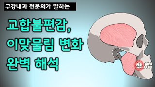 음식을 씹는게 어려워졌다면 무조건 보세요. (턱관절과 교합변화 심화편)