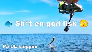 🐟 Uha en fisk jeg mister 🫣 Havørred fiskeri 🎣