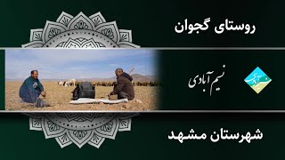 نسیم‌آبادی - گجوان، مشهد (2)