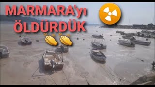 Marmara Denizi Salya PROBLEM  - Sea Saliva - TR 2021