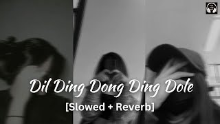 Dil Ding Dong Ding Dole [Slowed+Reverb] | Lofi With Bass