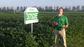 Are Xitavo Soybeans Right for my Farm?