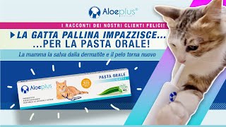 Pallina, la gatta di Alessia, ama la pasta orale Aloeplus