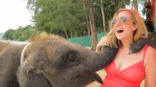 Swimming With Elephants, Phuket Thailand