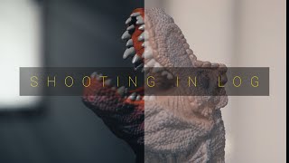 Shooting LOG Sucks! (a guide for beginners)