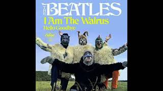 I am the walrus #thebeatles #johnlennon #paulmccartney