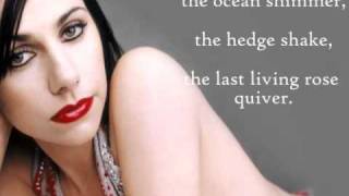 The Last Living Rose by Pj Harvey (HQ+lyrics)