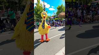 #bigbird dance from #sesamestreet #seaworld #fun #travel