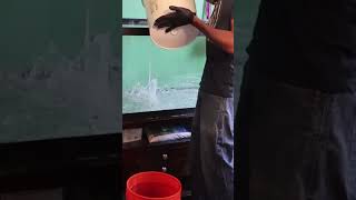 Filling a 75 Gallon Aquarium #shorts