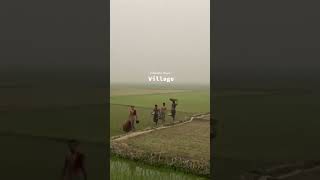 A beautiful village in Bangladesh