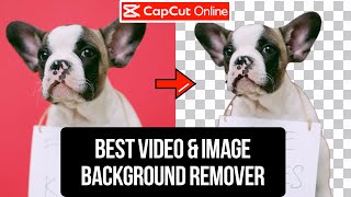 2024 Best Video & Image Background Remover - Free & No Watermark!