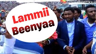 Jaal Lammii Beenyaa | Oduu Guyyaa Har'aa | Adda Bilisummaa Oromoo Yeroo Ammaa