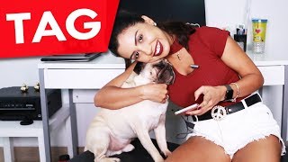 TUFÃO, meu animal de estimação | TAG