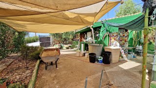 Cortijo Las Ventanas - Video 8 of 10 :  Vegetable garden