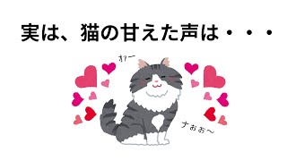 愛おしすぎる猫ちゃんの行動雑学 　#トリビア #豆知識 #neko #猫 #雑学 #聞き流し