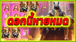 ดอกนี้หายหมด ► Anubis Wrath PG สล็อต สล็อตpg สล็อตแตก