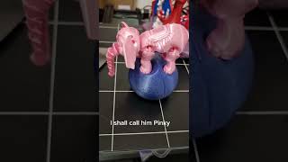 🐘 Meet Pinky! The Flexy Elephant Balancing on a Ball! 🎉 #3dprinting #makercommunity #3dprinted