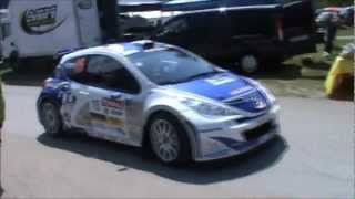 Peugeot Sport 207 S2000 (super 2000) , 2 litres, 300 chevaux action rally car sounds