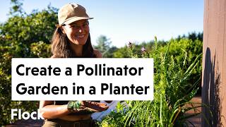 POLLINATOR PERENNIAL Container Planting — Ep. 264