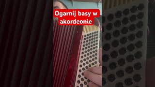 Ogarnij basy w akordeonie #akordeon #accordion #accordionplayer #mixing #flstudio21 #basyakordeon