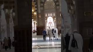 Al Masjid an Nabawi Inside View #masjidnabawi #prophetmosque #madinah #alharam