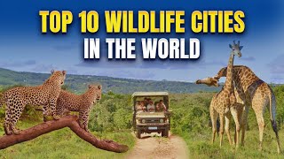 Discover the Top 10 Wildlife-Friendly Cities!