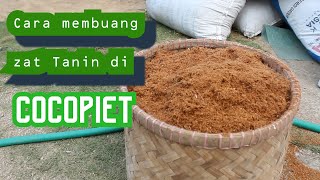 Cara Menghilangkan Zat Tanin Pada cocopeat/cocopit