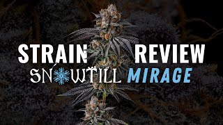 STRAIN REVIEW: Mirage by Snowtill