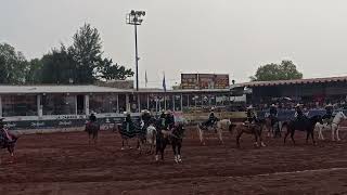 Las escaramuzas en el picadero de la feria del caballo 2024.