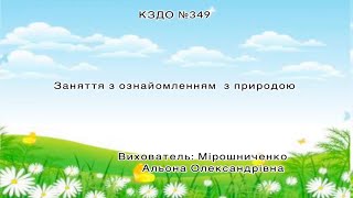 Заняття з ознайомленням з природою