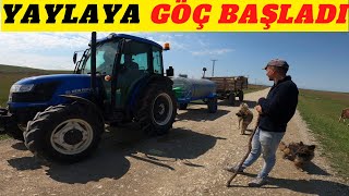 YAYLAYA GÖÇ BAŞLADI | İNEKLERİ DAĞLARDAKİ OVALARA GÖTÜRÜYORUZ | BURDAN ÖTE ERMENİSTAN !!!