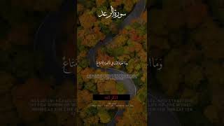 سورة الرعد | بصوت يريح القلب #youtubeshorts #اكسبلور #quran #حالات_واتس #ادعية #دويتو #تصميمي