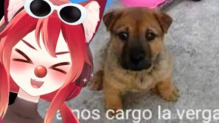 chiimuu REACCIONA a Shitposting Compilation V129 ft. @MrDiegoPE