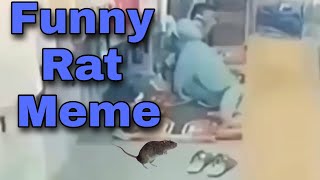 Rat goes inside the clothes | Funny reaction of man | funny meme that makes you laugh😂🤣