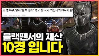 알면 더 재미있는 블랙팬서의 흥미로운 사실들 [메디25/블랙팬서 와칸다 포에버]