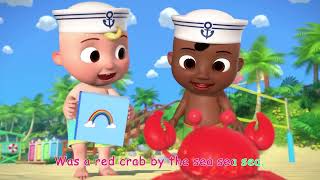 Playdate at the Beach Song   The Sailor Went to Sea   CoComelon Nursery Rhymes & Kids Songs