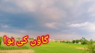 GAUN KI HWAA |WIND BLOWING IN VILLAGE|BEAUTIFUL SCENE OF MORNING AIR|SAMI SULEHRI||