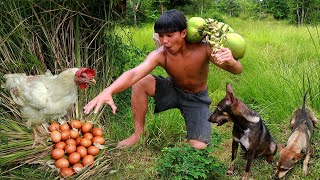 Man caught chicken with egg & took egg with tomatoes to cook in coconut - Eating delicious