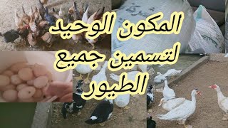 خلوا العلف يولع مكانه وبديل العلف الكيلو ب 6 جنيه وروتين جمع البيض