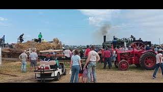 150 Case Threshing at Albany, MN