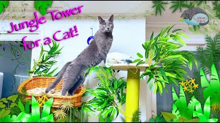 Building Jungle Bamboo Cat Tower in Korea - Chadol's House