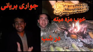 جواری بریانی در شب خوب مزه میده جای تان خالی عزیزان || با علی شاه عباسی و دوستان