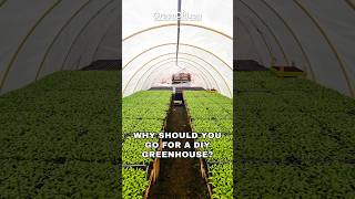 Why Should You Go For A DIY Greenhouse?