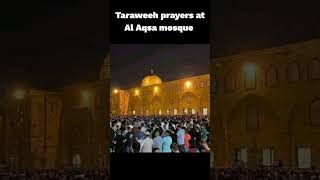 Taraweeh prayers at Al Aqsa mosque O Allah Raise the standing of islam and muslims #islamicvideo